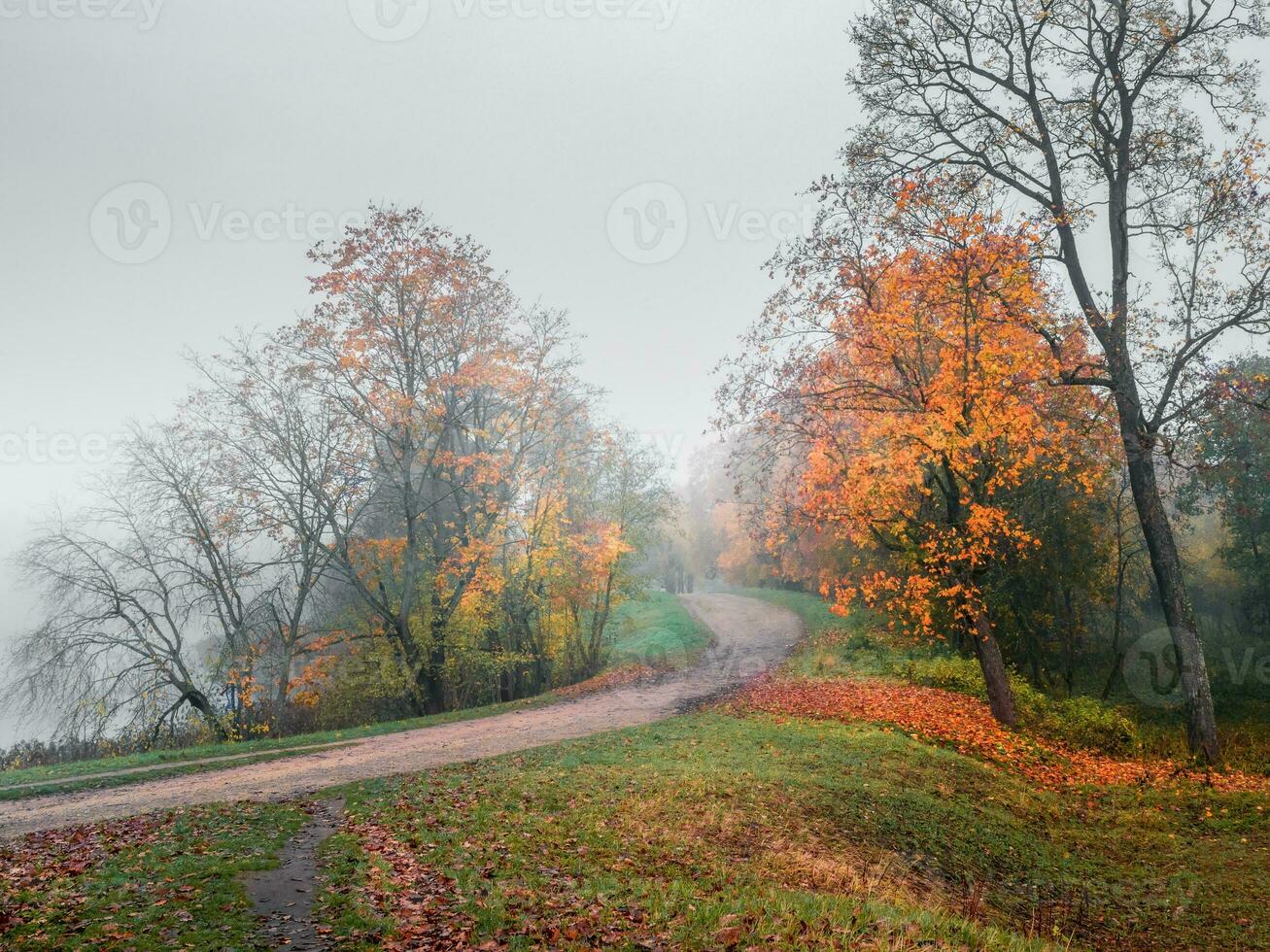 místico otoño paisaje con niebla y camino en el parque foto