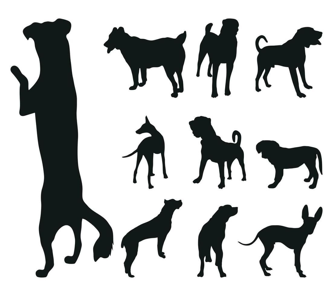 Sketch of black silhouettes of dogs in poses. Outline of pets go, standing, running, jumping, training, walking, guarding, posing, play, showing vector