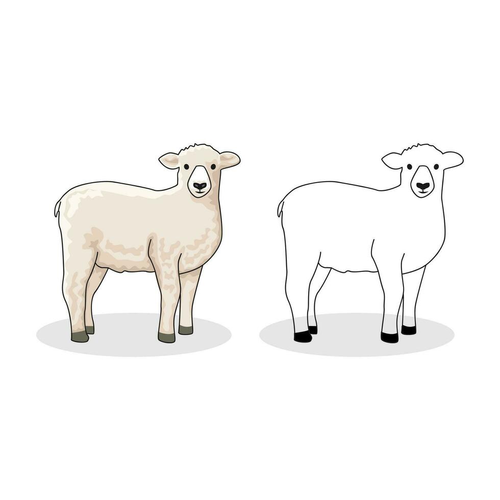 sheep vector for colored book isolated on white template design