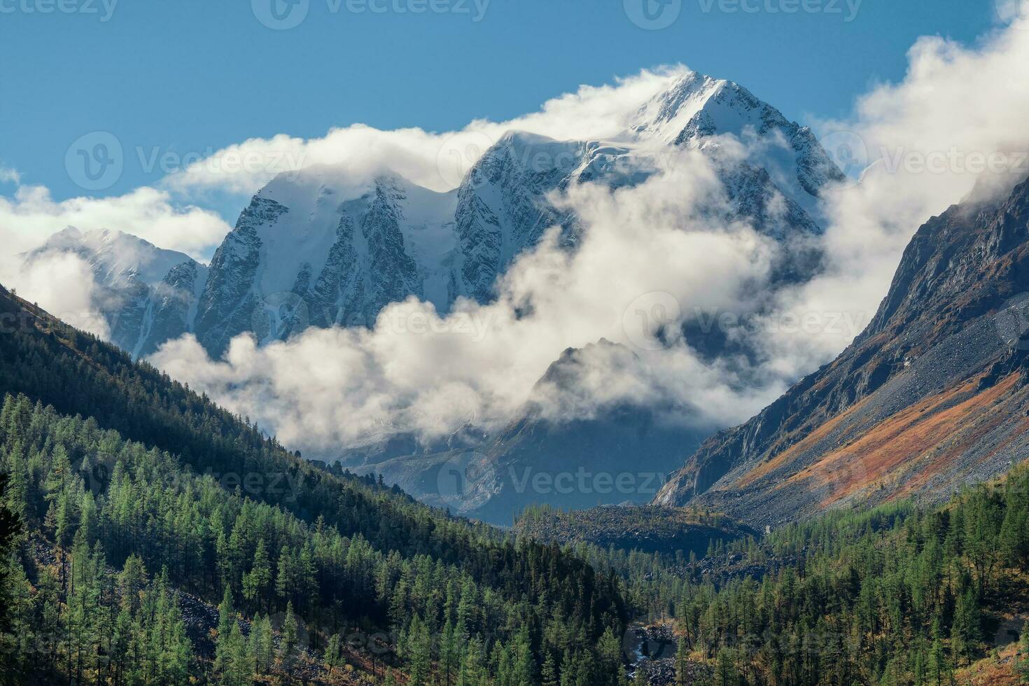 Amazing view from sunlit coniferous trees to fir forest valley and high sharp rocky mountain range in low misty clouds. Awesome mountain landscape with cedar forest and sharp rocks. Nature of Altai. photo