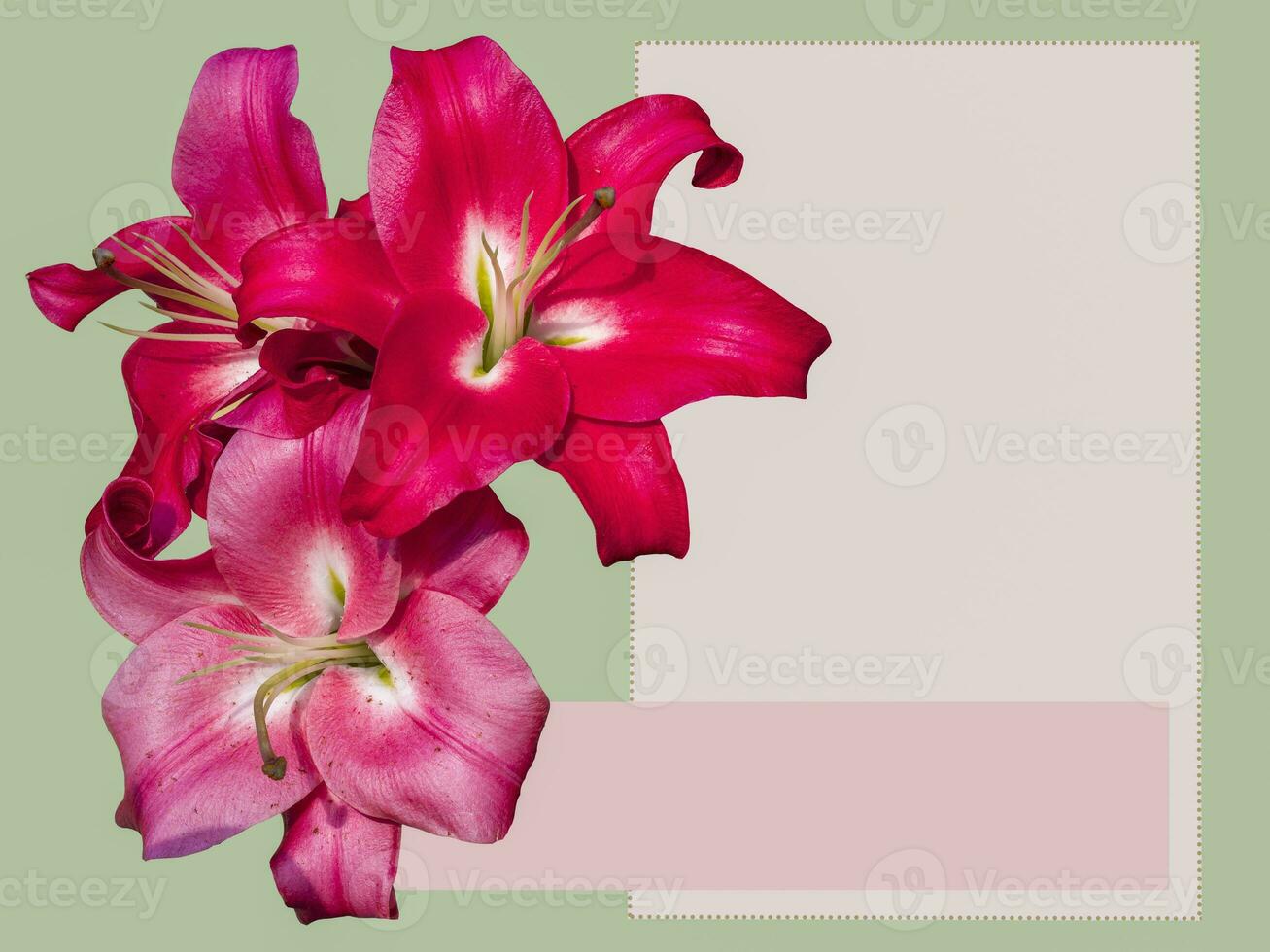 Lily flower on a green background. Greeting card for celebration. Empty space for text photo