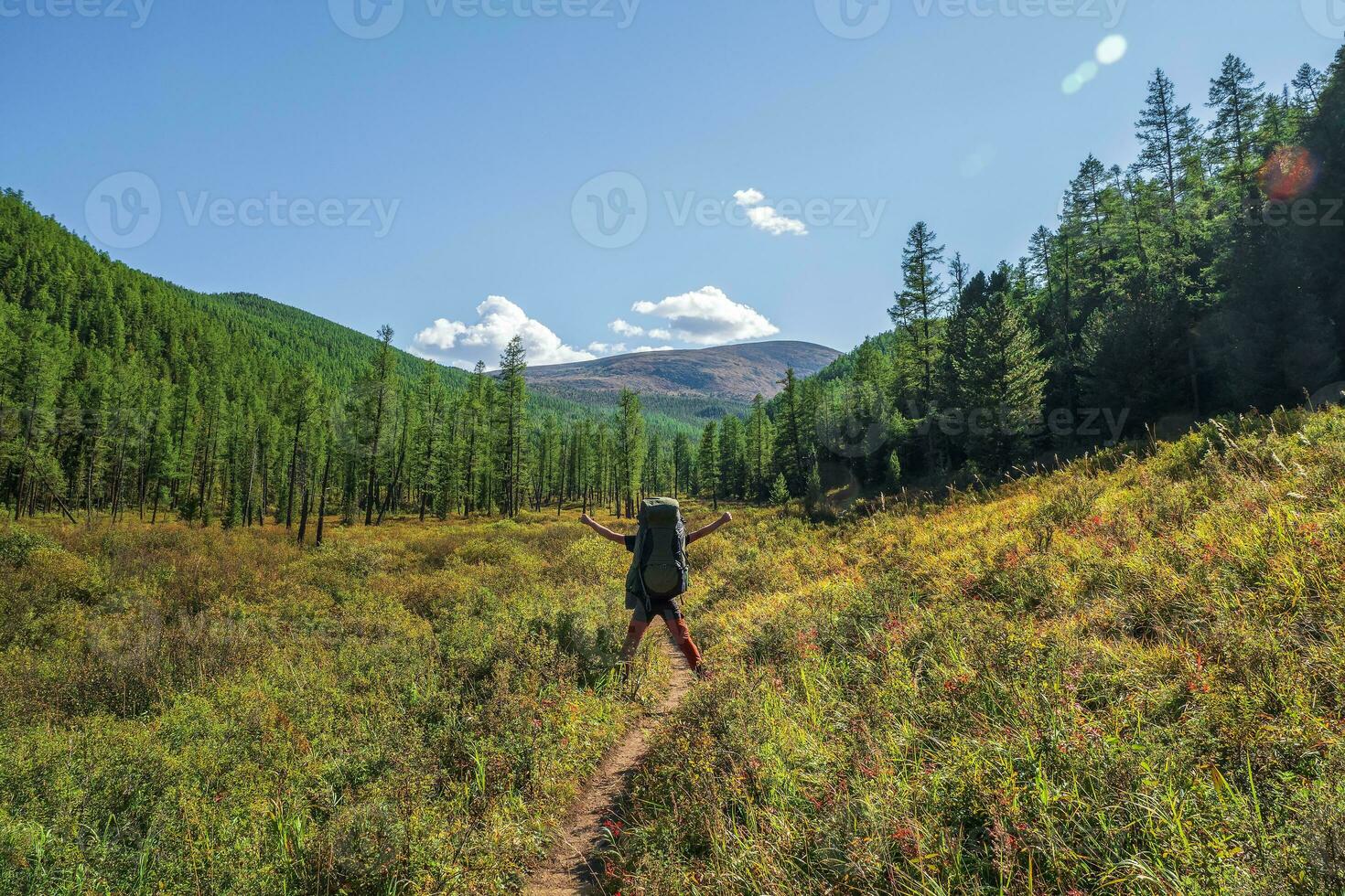 Happy hiking on the ecotrope. Solo hiking in the picturesque autumn mountain forest. Heavy climb in the mountains with a big backpack. Travel lifestyle, hiking hard track, adventure concept in holiday photo
