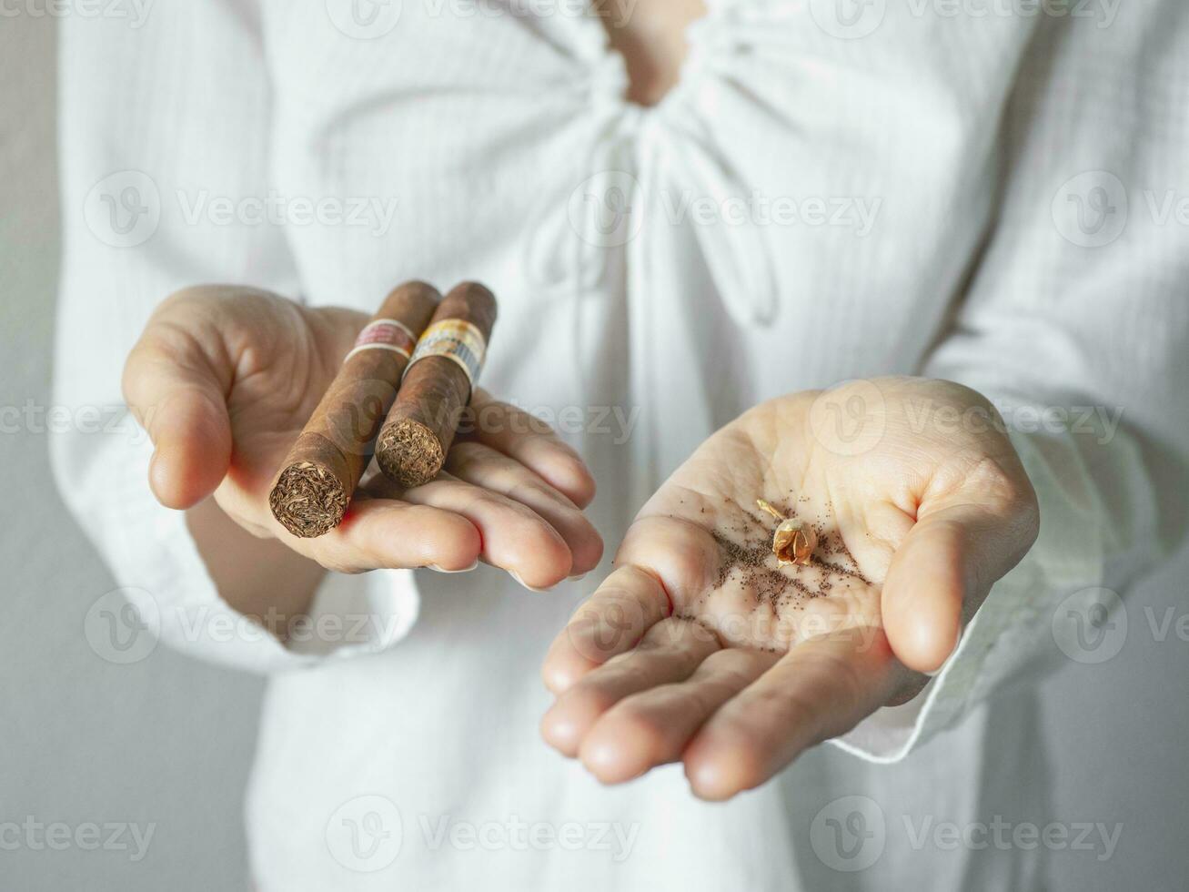 Tobacco seeds and a cigar in the palm of your hand. Extremes creative concept. photo