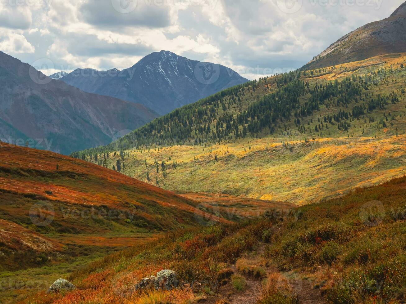 Sun after the rain over the summer mountain plateau. Dramatic rainy alpine landscape in autumn valley and dark mountain sharps in low clouds. Atmospheric awesome view to hike trail through the mount photo