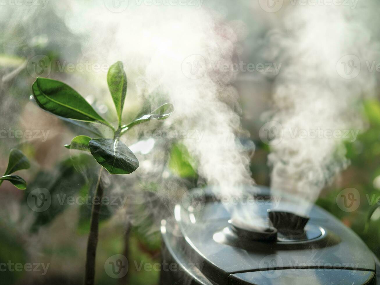 Humidifier for flowers. Air humidifier on the window at home, water steam direction to a houseplant. Home gardening, moisture increase in the apartment, comfortable living conditions. photo