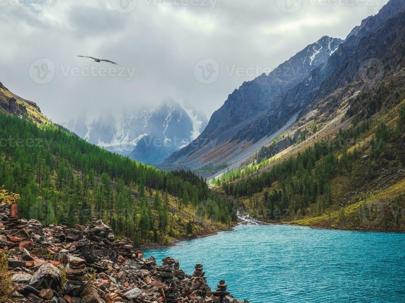 Amazing clear mountain lake in forest among fir trees in dramati photo