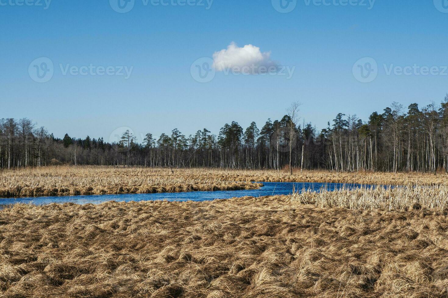 primavera paisaje con un azul río y pantano. foto