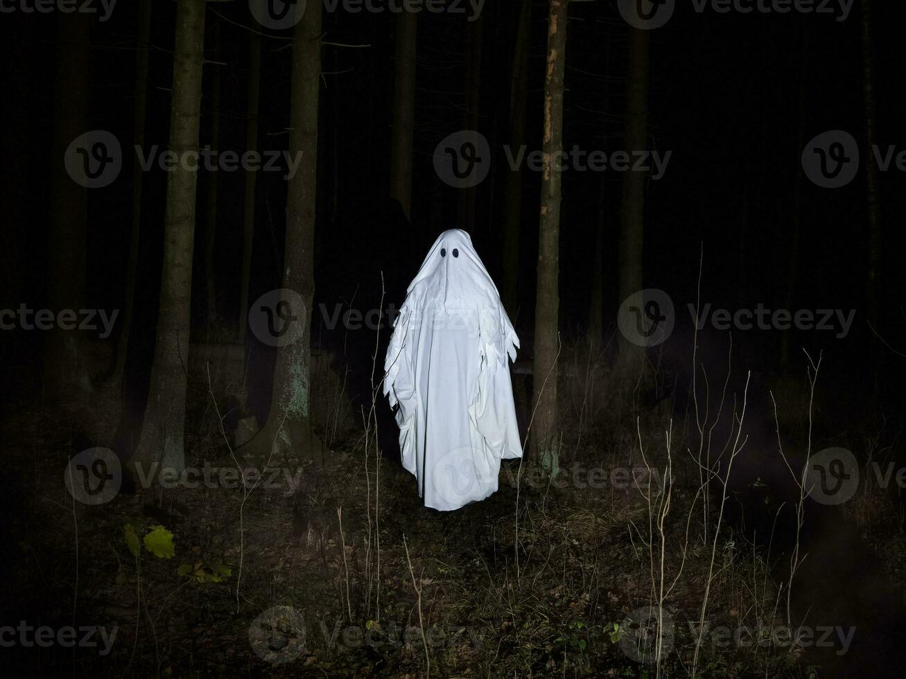 Funny white ghost in a dark misty forest. Dark fantasy concept. Of a mysterious white ghost in a spooky forest. photo