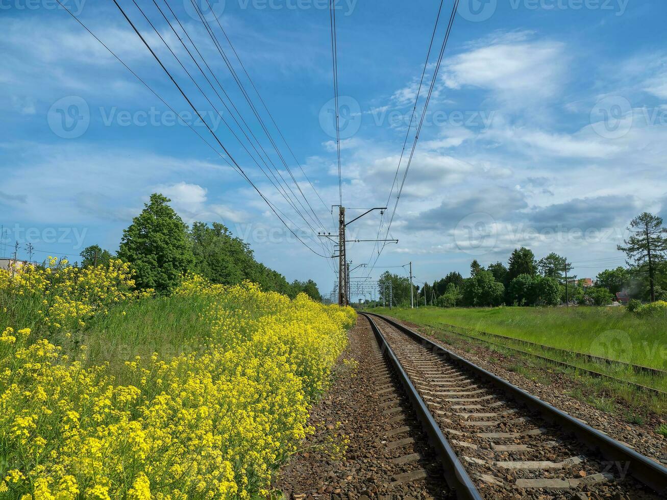 Railway tracks among yellow fields, country railroad photo