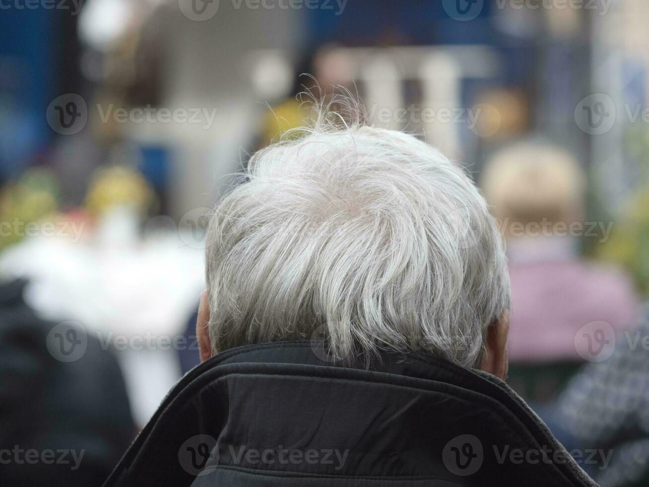 Back view of the man with a gray hair head in a open air photo