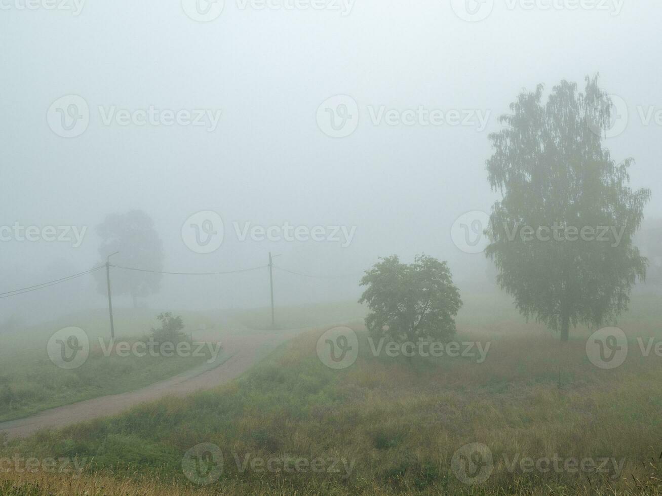 A foggy road with Telegraph poles. photo