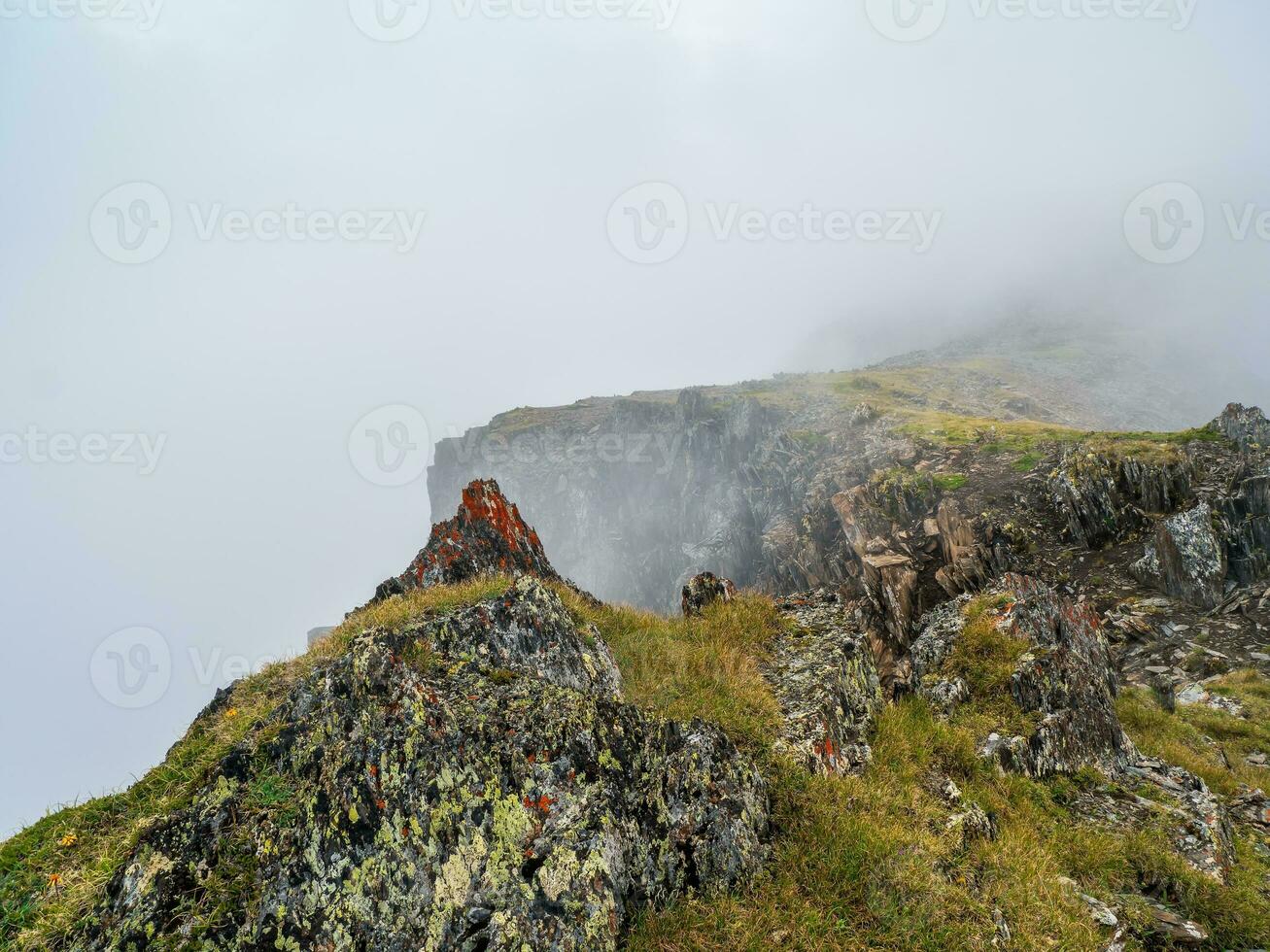 Moody clouds covering the top of the mountains. Mossy stones in green ravine. photo