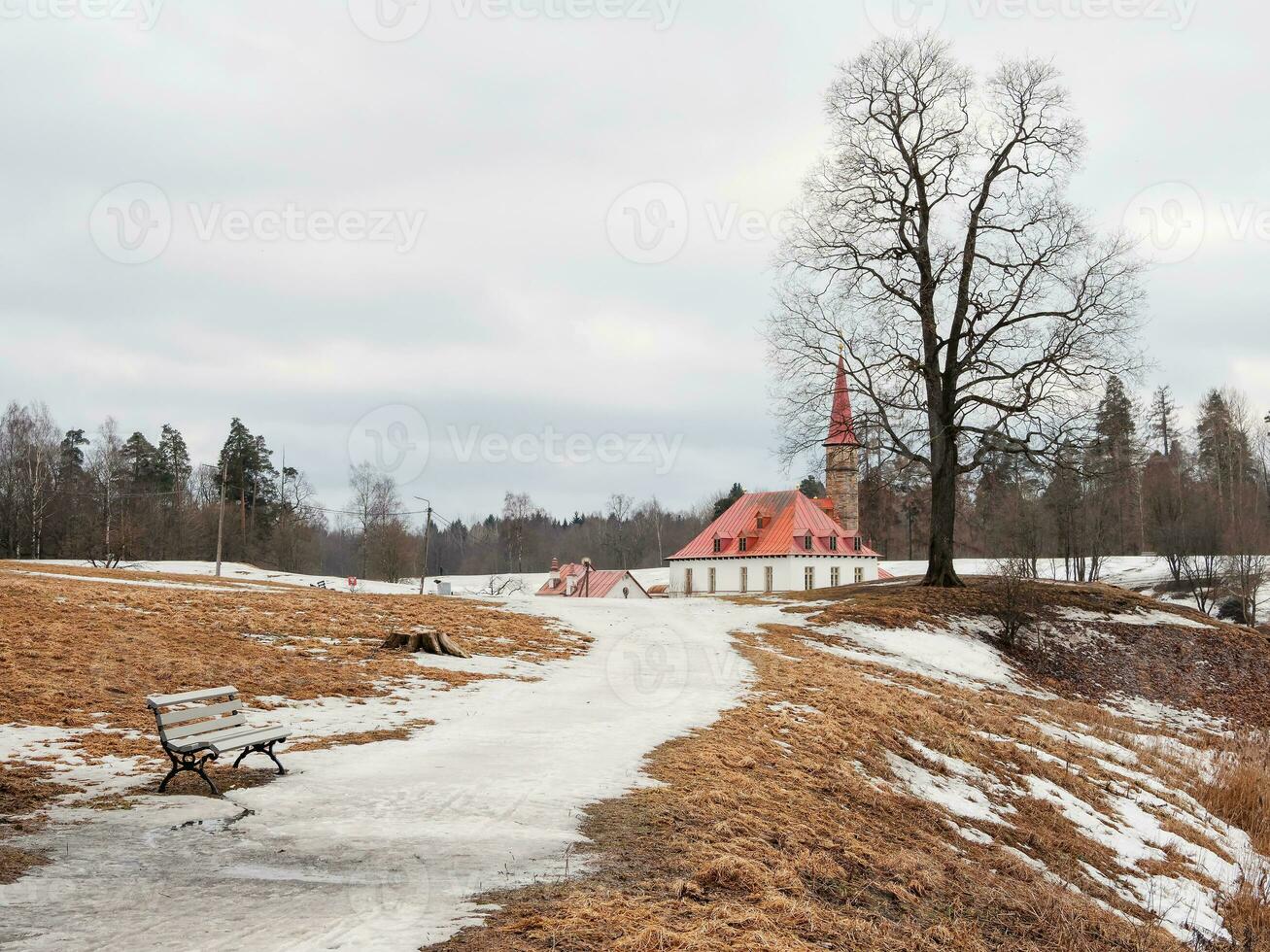 temprano primavera en el ciudad parque, el permanece de nieve en el callejón a el castillo. primavera ver de el antiguo maltés palacio en Gatchina parque, Rusia. foto