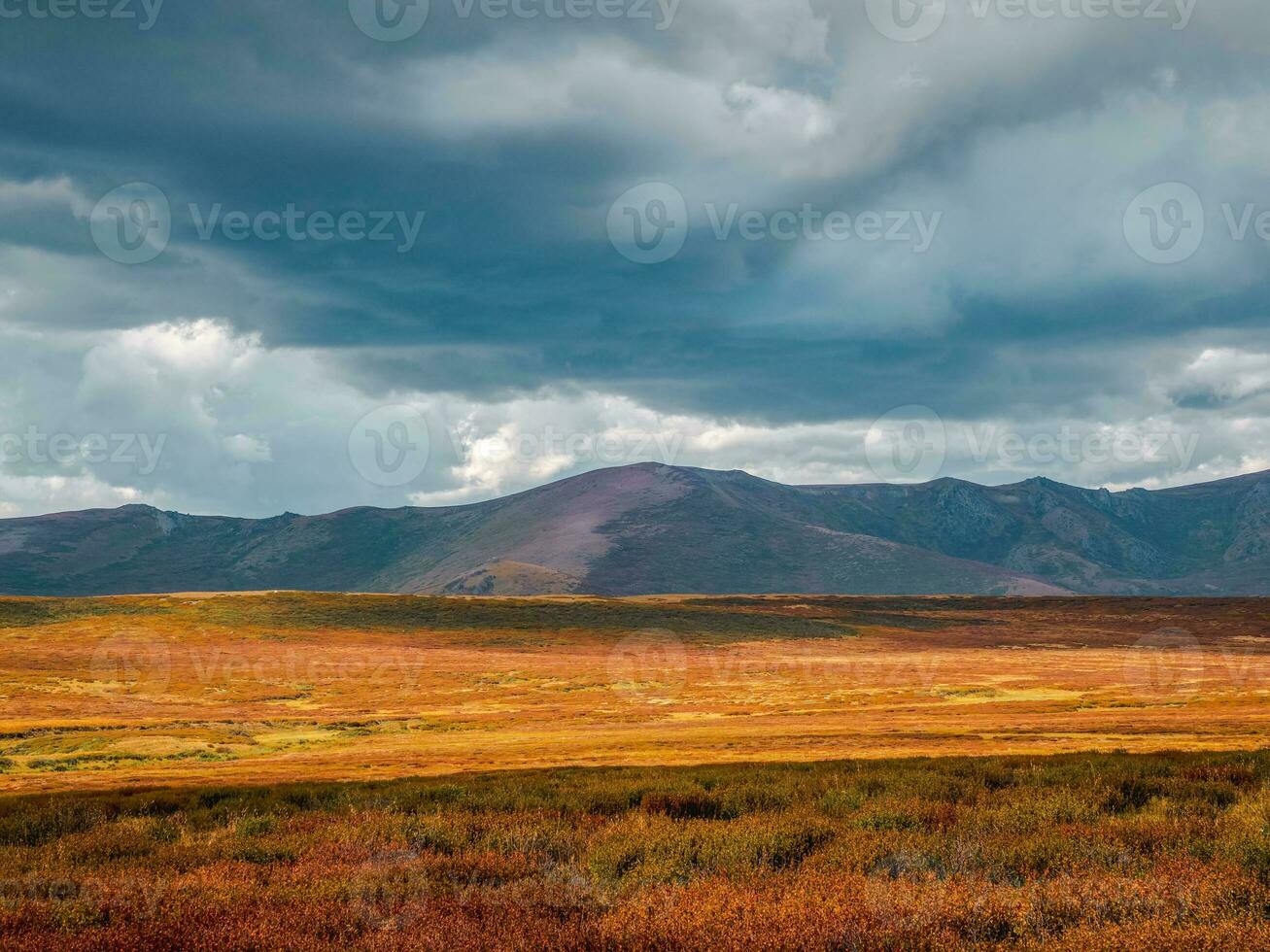 Minimalistic motley autumn landscape with yellow dwarf birch on hills and beautiful rocky mountains in sunlight under dramatic sky. Multicolor mountain scenery with unusual rocks in autumn colors photo