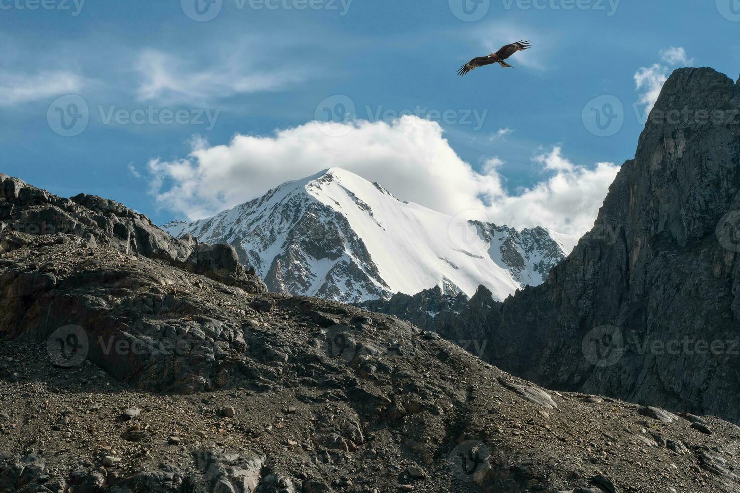 Vulture hovers over the rocks. Atmospheric mountain landscape with great snow-covered pinnacle and snowy pointy peak in blue cloudy sky. photo