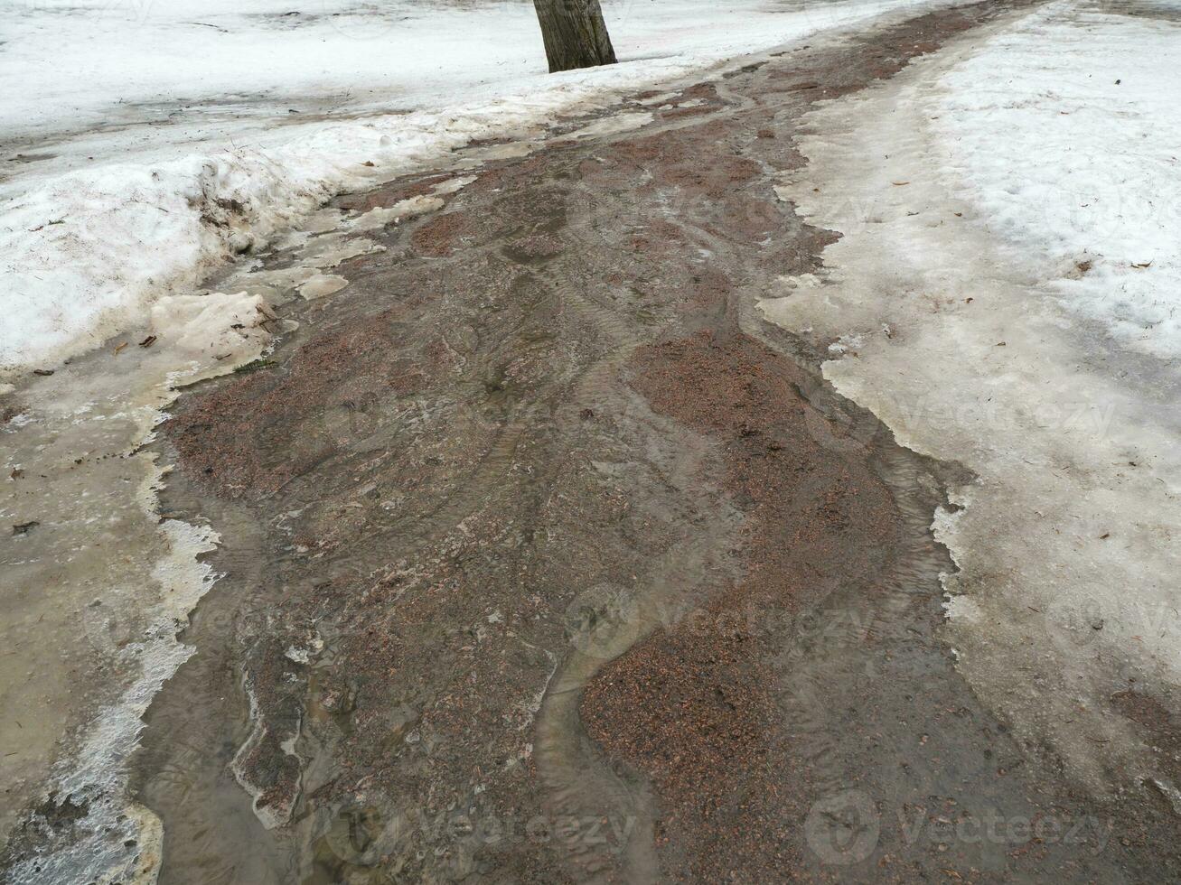 Erosion from flood waters. Spring stream. Ground washed away by a stream photo