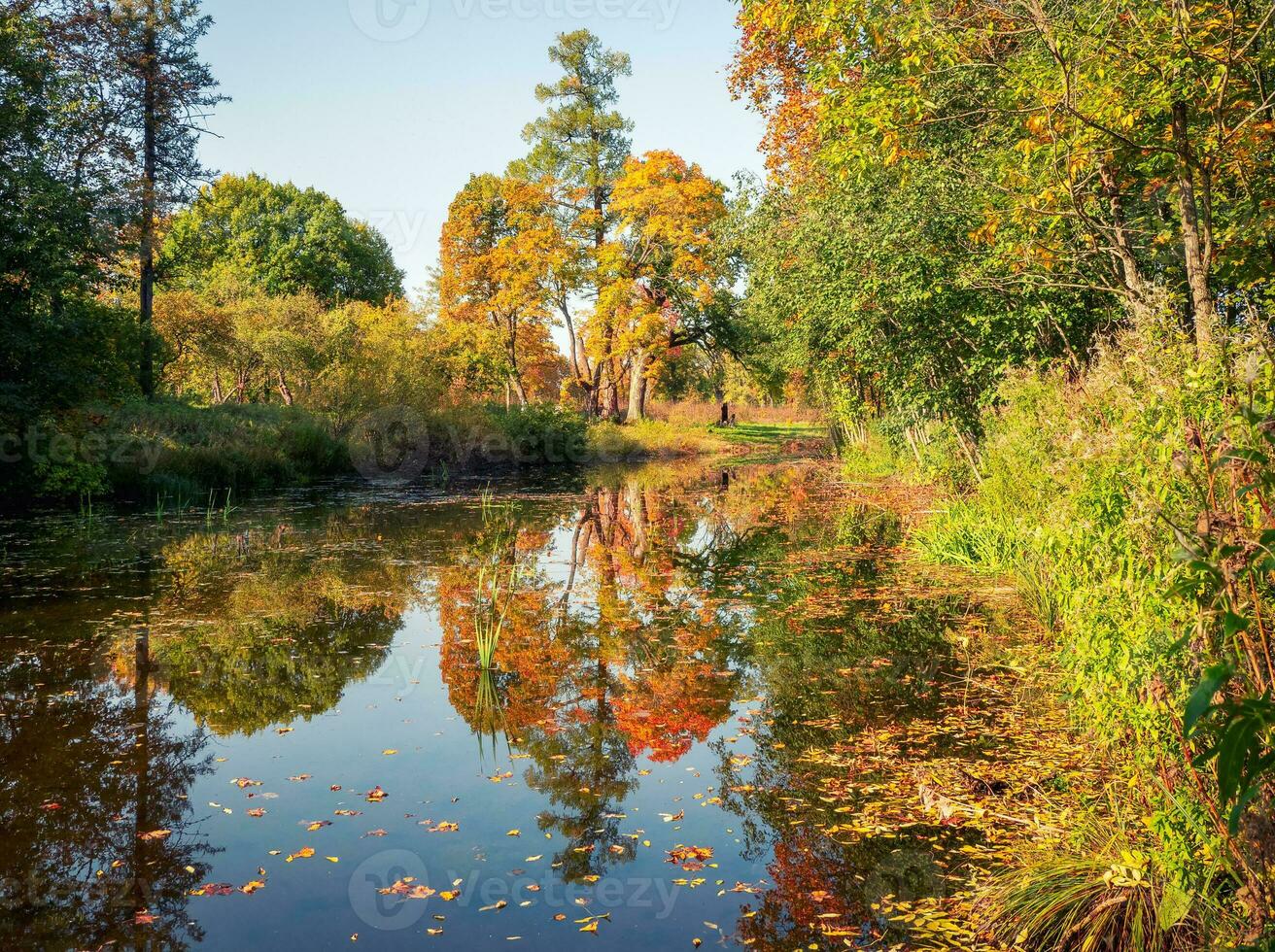 Beautiful autumn view of the abandoned Demidovsky Park, Taitsy. Russia photo