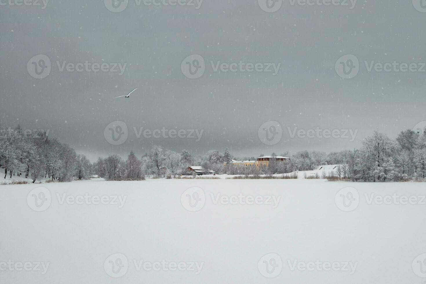 Minimalistic winter background with a village on the shore of a snow cover by the lake. Lots of snow winter countryside landscape. photo