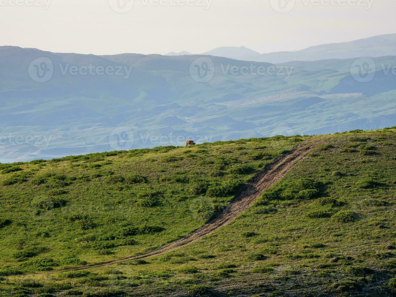 Empty walking and hiking trails in the mountain range in the early morning. Hike up a narrow mountain path with a stunning view of the vast green valley. photo