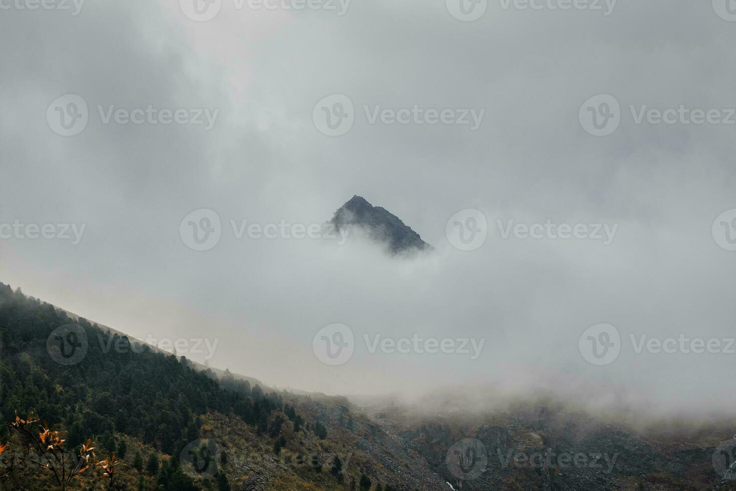 Darkness mountain background. Dramatic fog among giant rocky mountains. Ghostly atmospheric view to big cliff. Low clouds and beautiful rockies. Minimalist scenery mysterious place. photo