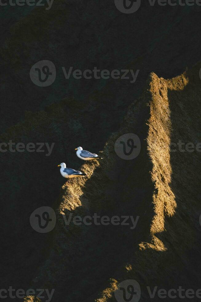 Two gulls sit on a dark cliff at sunset photo