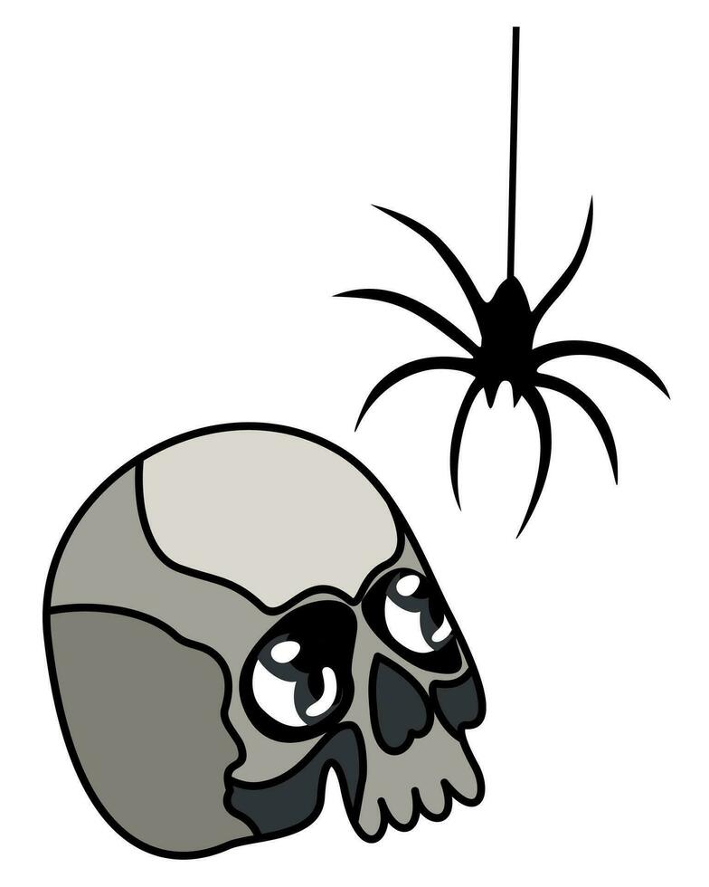 Skull and spider. Vector isolated monochrome illustration.