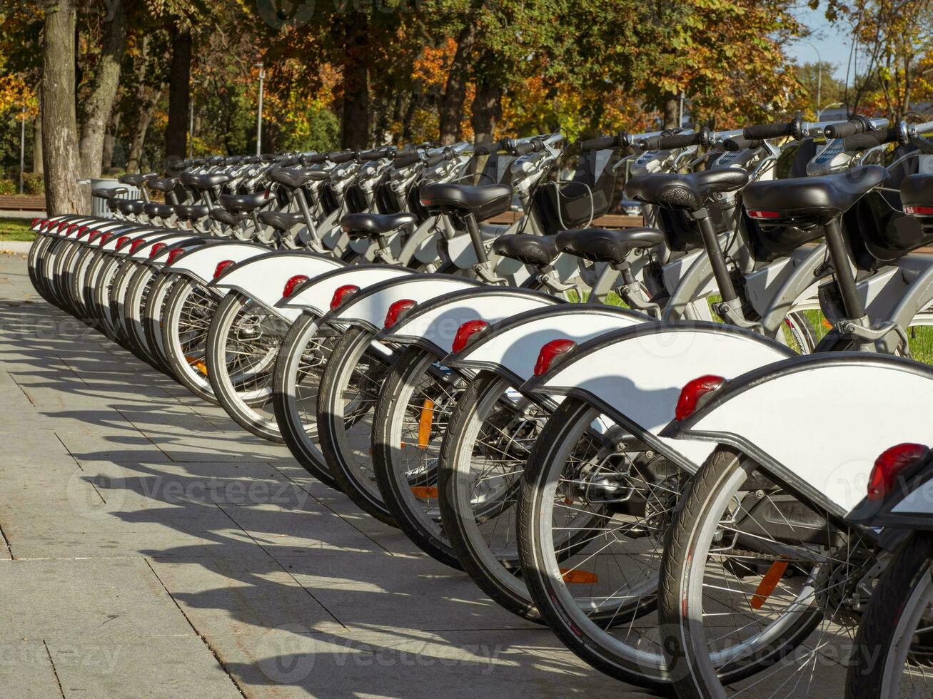 City bikes are parked in a row in the fall. photo