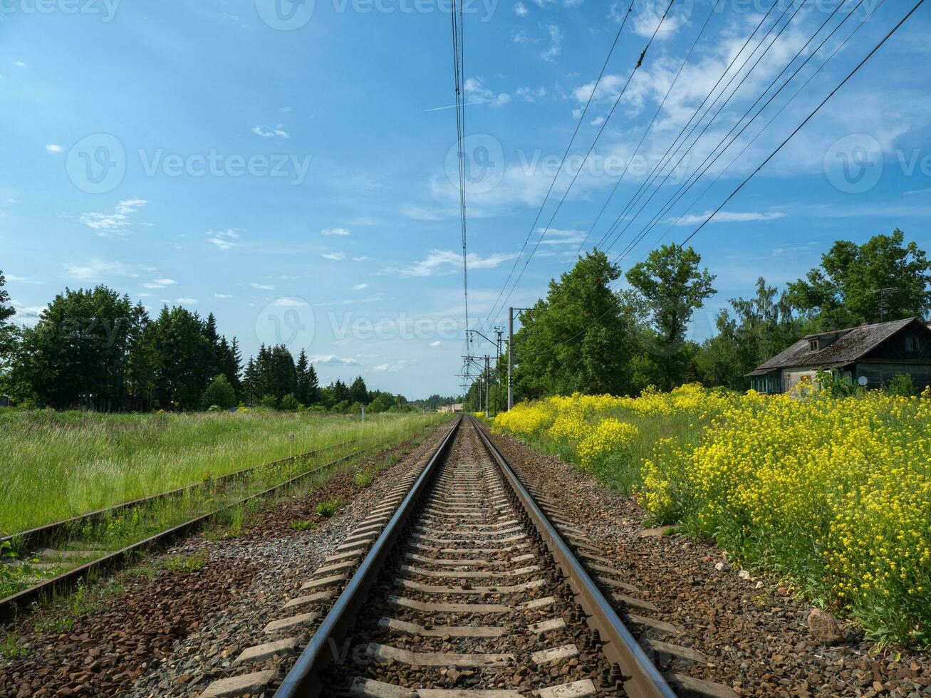 Railway tracks among yellow fields, country railroad photo