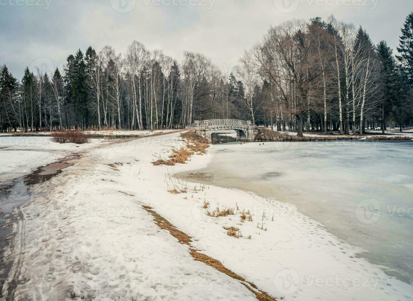 Spring thaw. Alley in the park with melting snow, puddles and ice on a spring day. Snow and dirt in the park. Thawed patches. Spring is coming photo