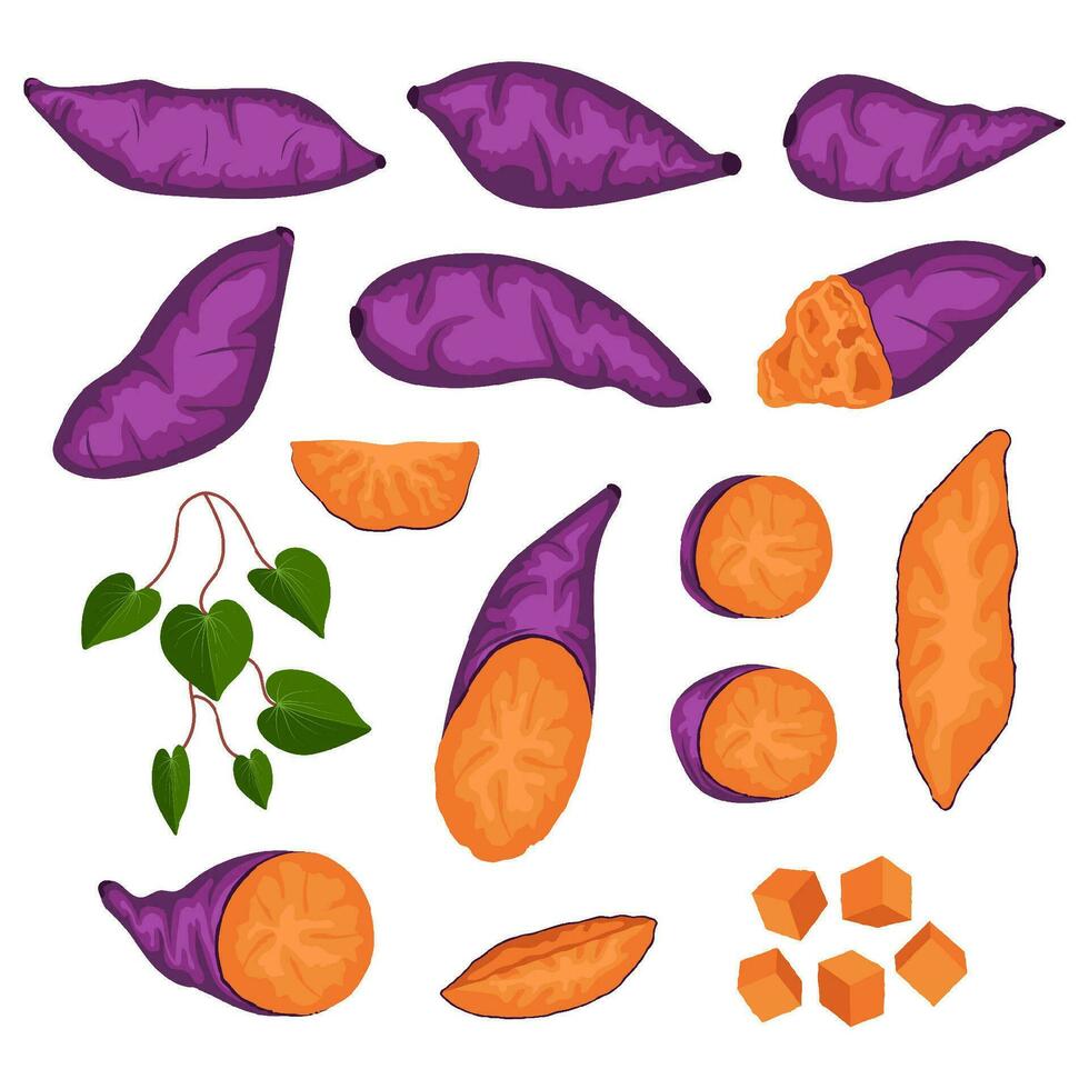 sweet potato vector clip art element, cassava, ubi jalar