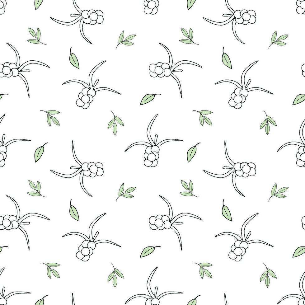 Seamless vector pattern sea buckthorn, berry in doodle style