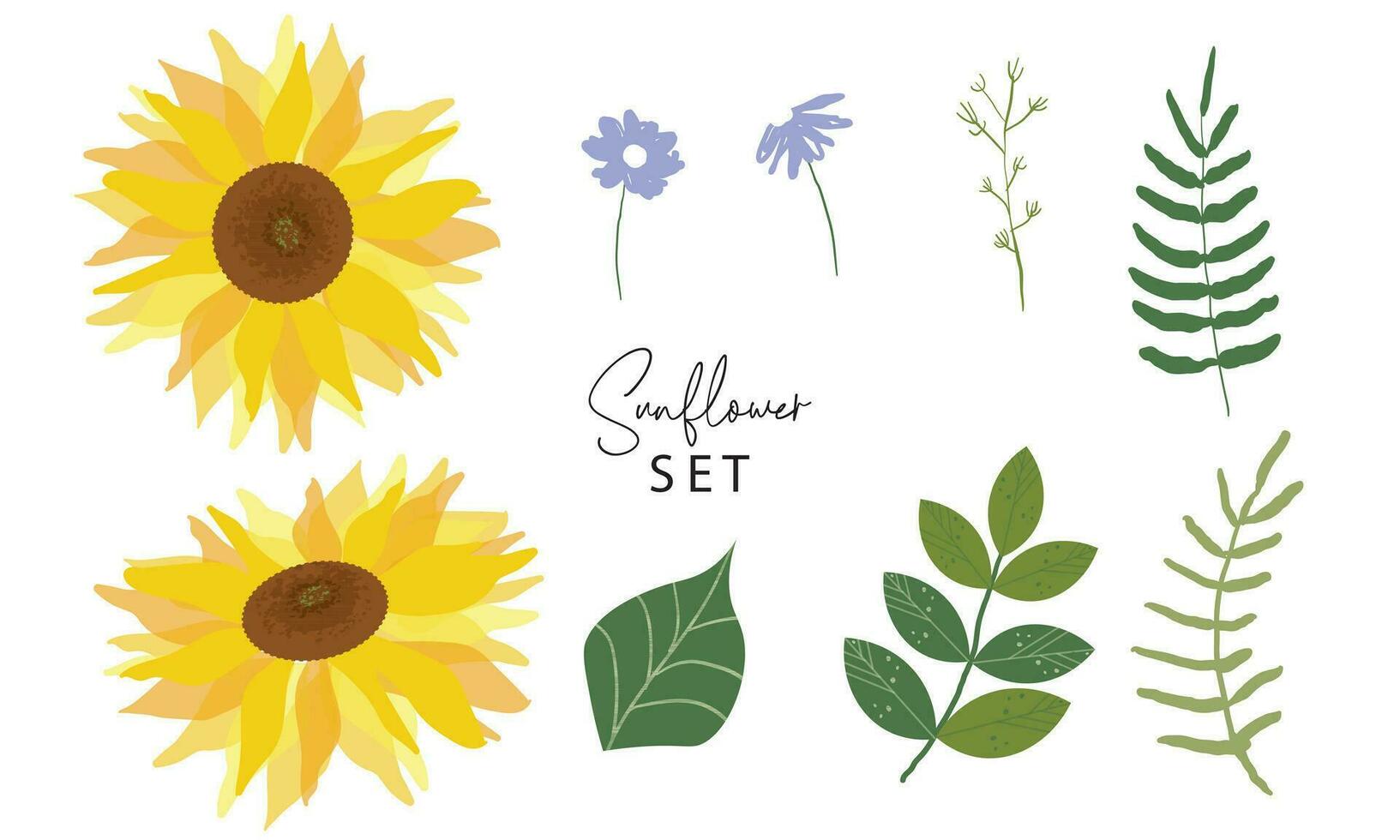 Vector set of sunflowers