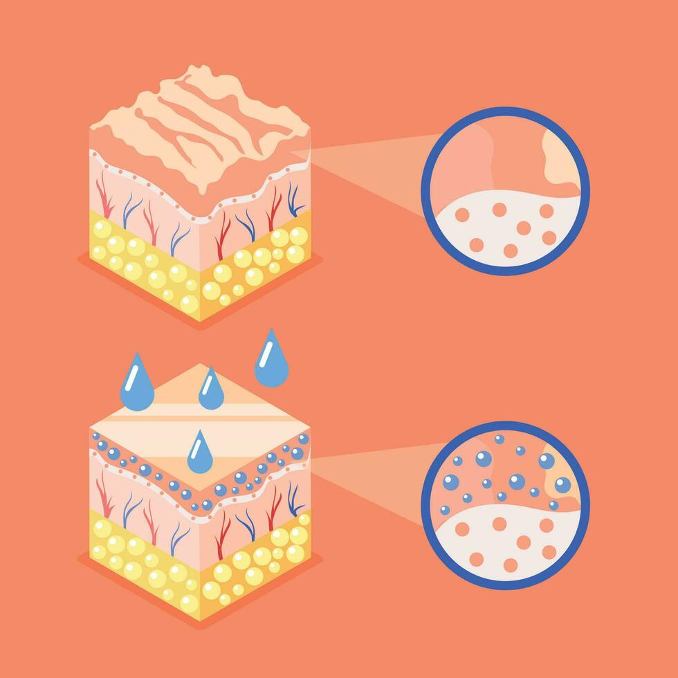 piel estructura cubitos composición vector