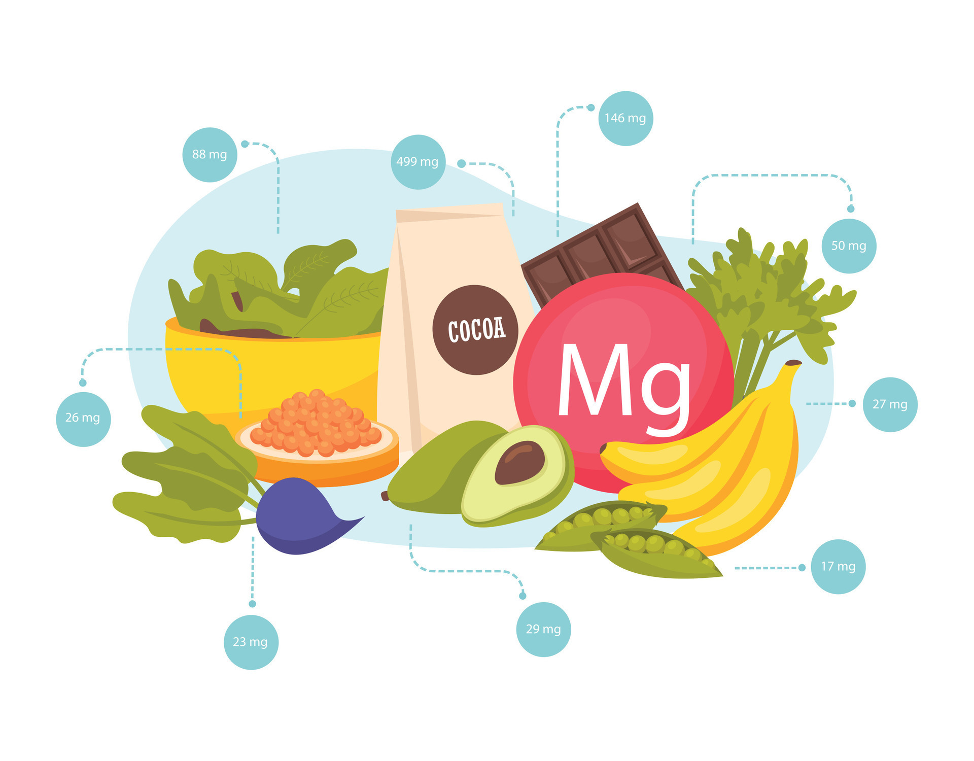 Magnesium Foods Composition 24774485 Vector Art at Vecteezy
