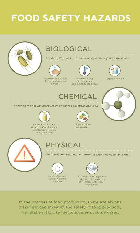 Food Safety Hazards Infographics vector