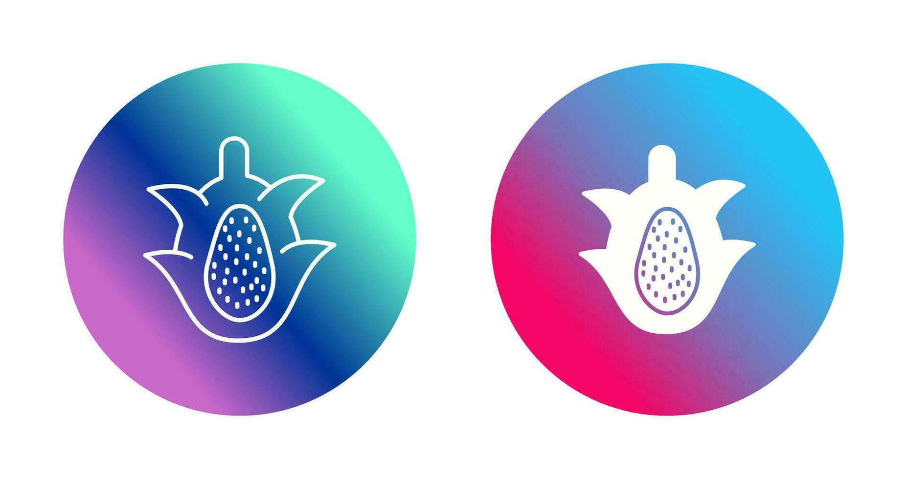 Dragon Fruit Vector Icon