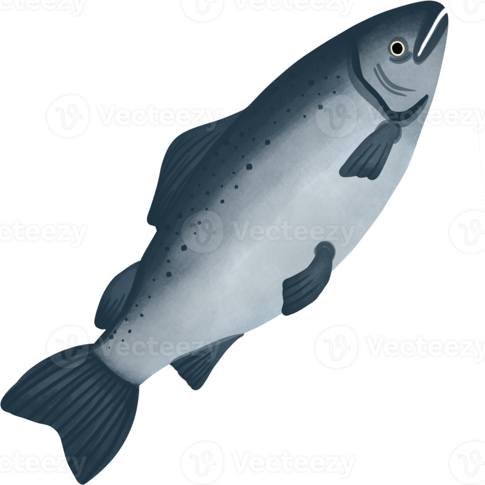 cute salmon cartoon png