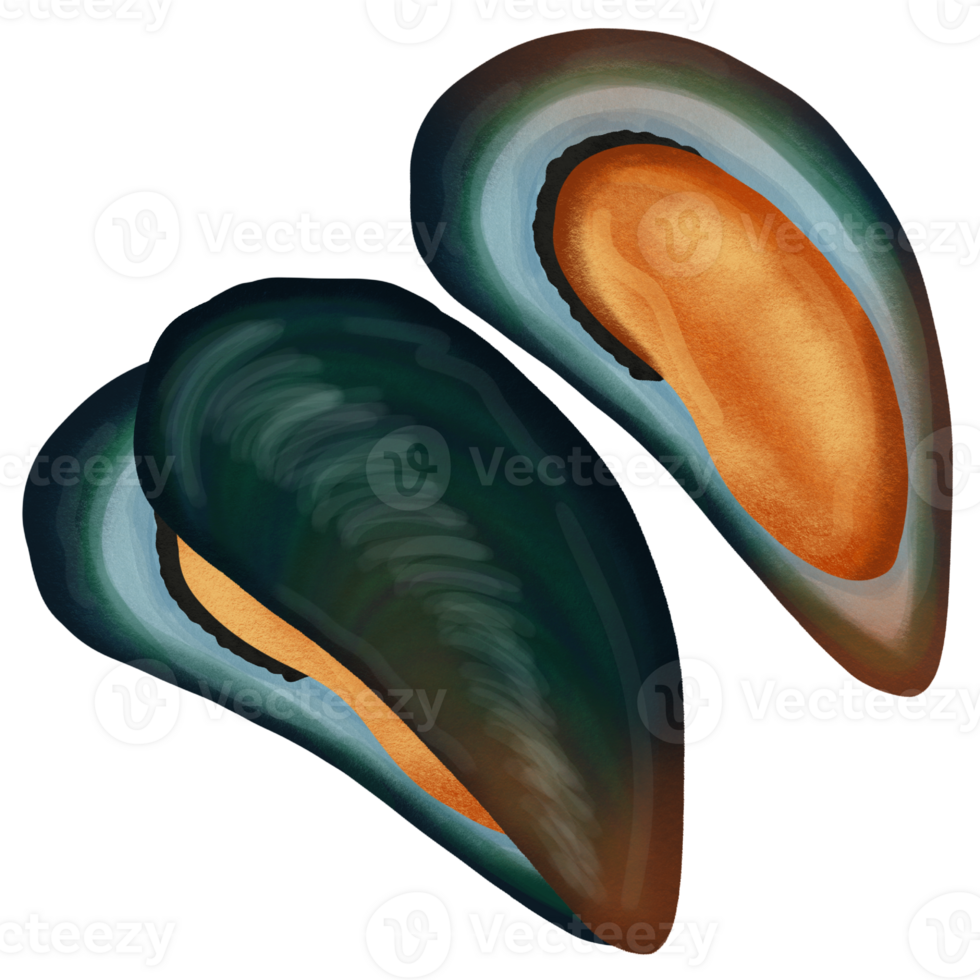 cute mussels seafood 24776252 PNG