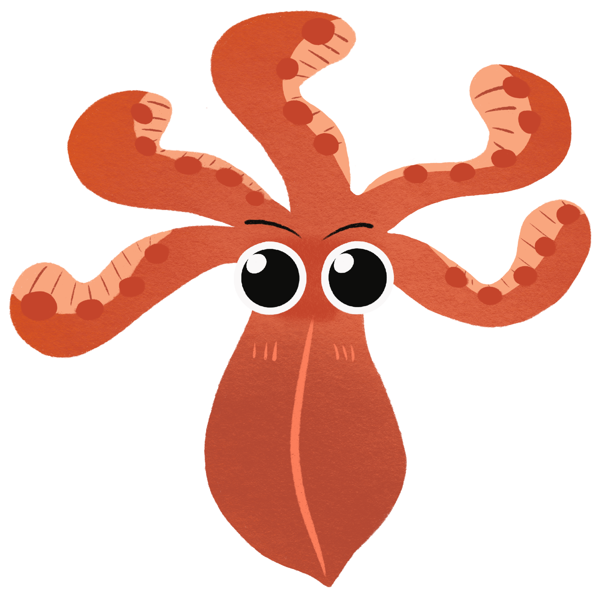 Cute Squid Cartoon 24776258 Png Cute Squid Cartoon 24776258 Png