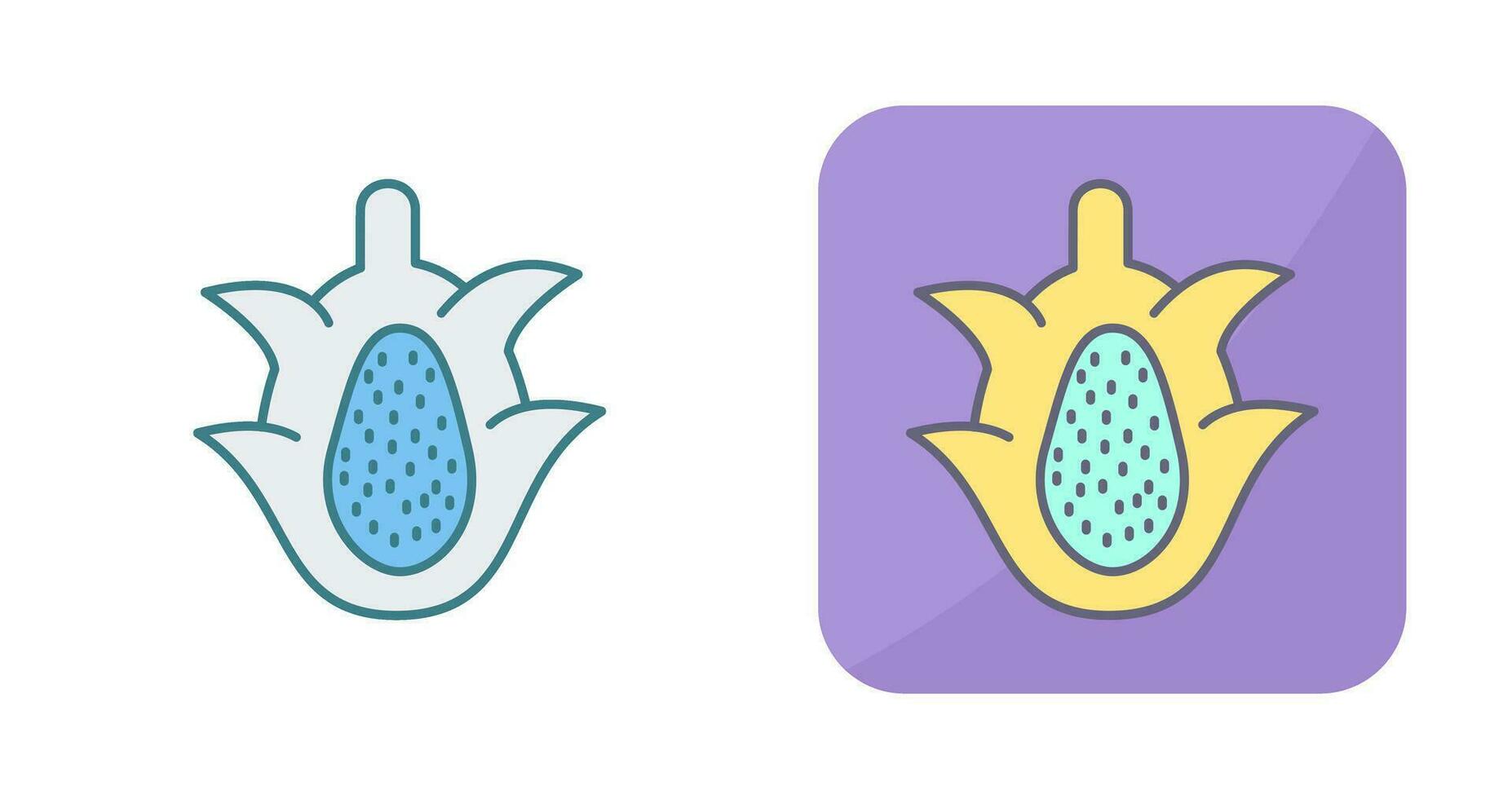 Dragon Fruit Vector Icon