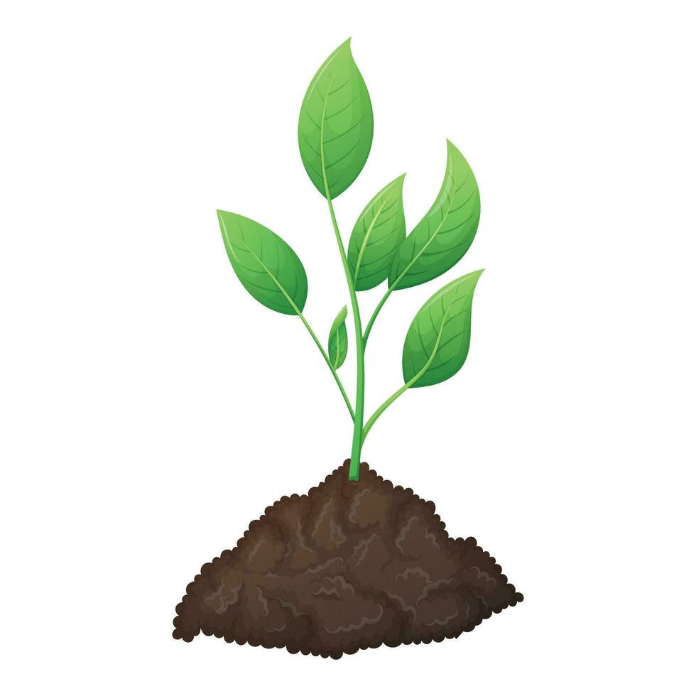 A bunch of fertile black soil and growing green plant sprout with leaves. The concept of gardening and sowing. Vector isolated cartoon illustration.