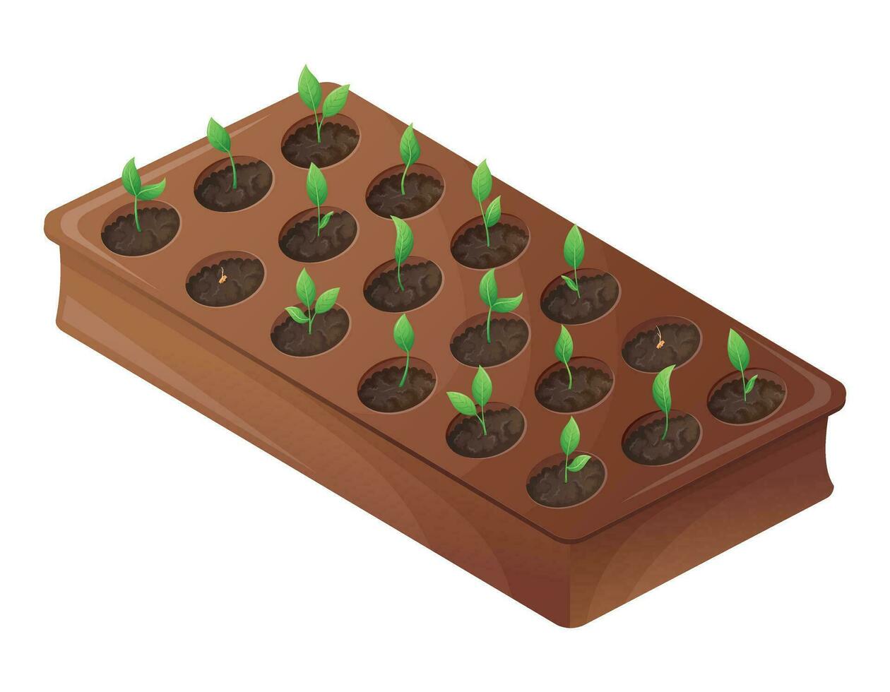 planta de semillero caja con plantado creciente planta coles con hojas. el concepto de jardinería y agricultura. vector aislado dibujos animados ilustración.