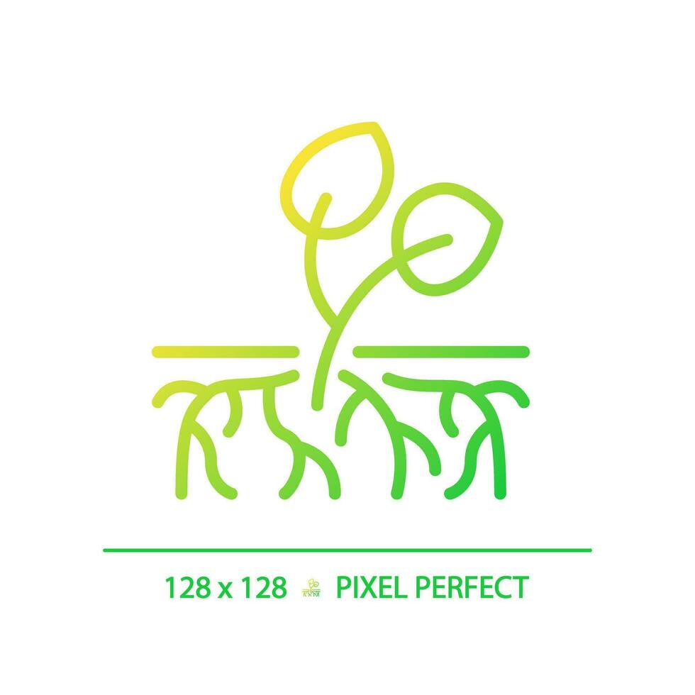 Rooting plant cutting gradient linear vector icon. Propagation method. Artificial reproduction. Spring growth. Thin line color symbol. Modern style pictogram. Vector isolated outline drawing