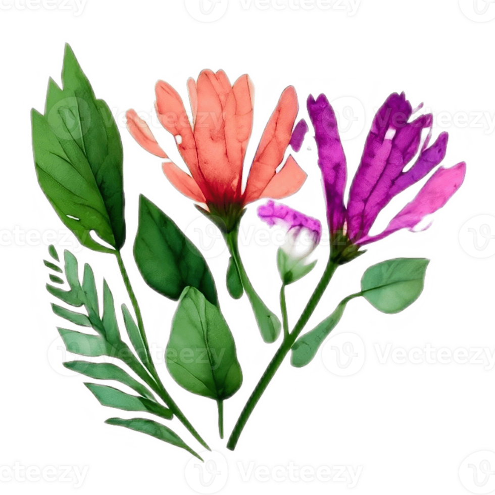 Bloom in Watercolor, Stunning Floral Artwork for Your Creative Projects png
