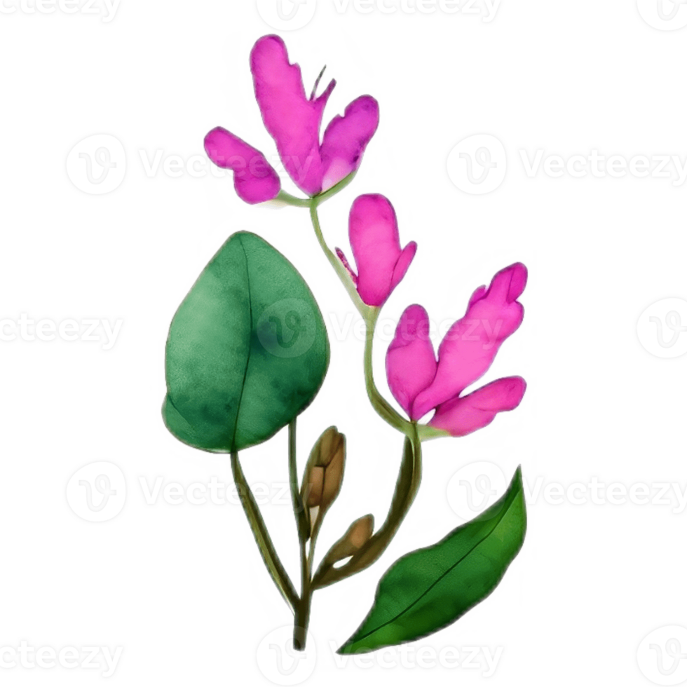 Bloom in Watercolor, Stunning Floral Artwork for Your Creative Projects png