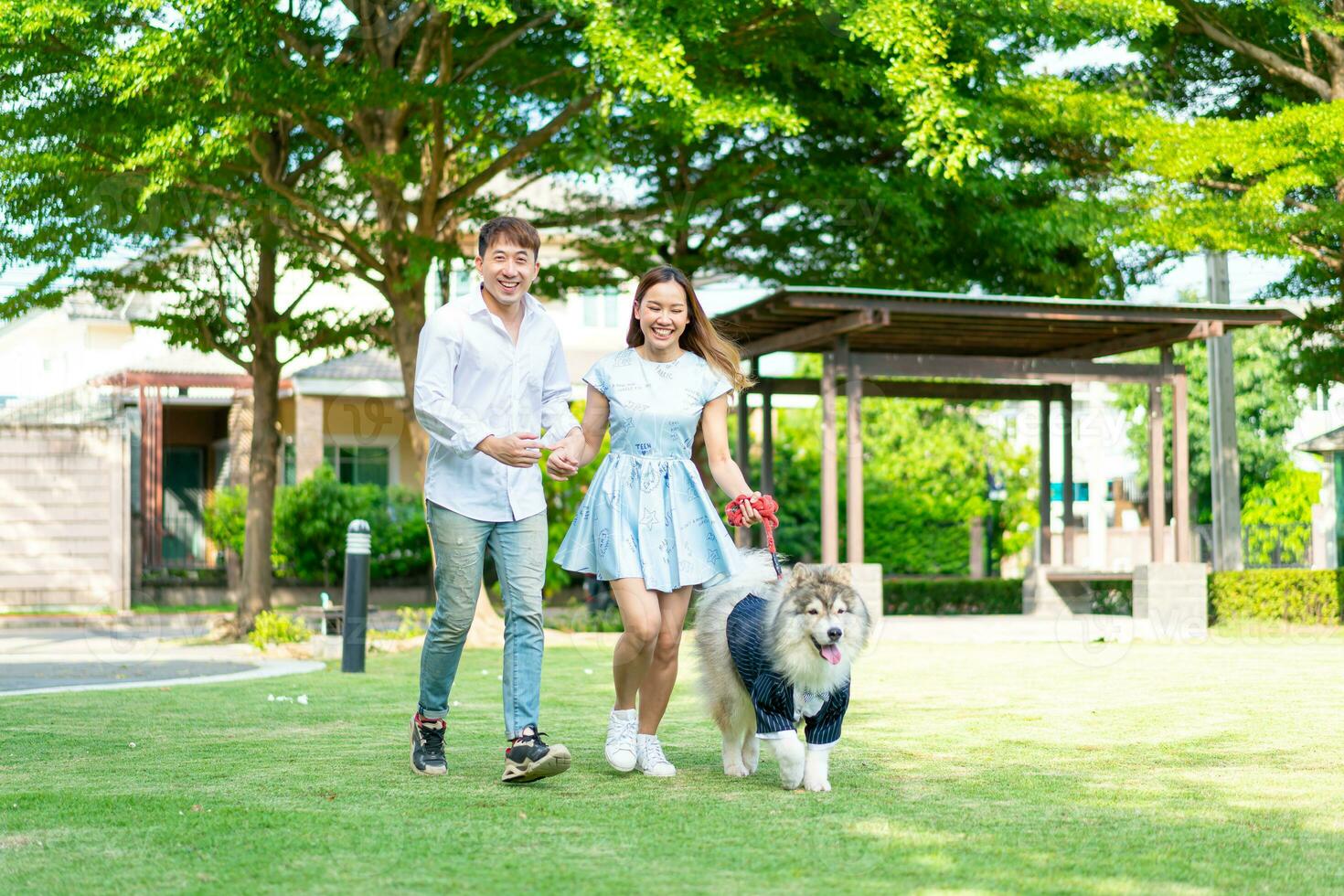 Asian couple love with dog photo