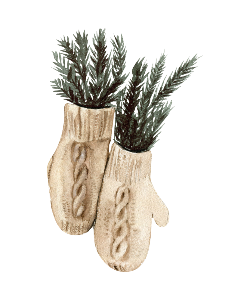 Fir branches in mittens for decoration. png