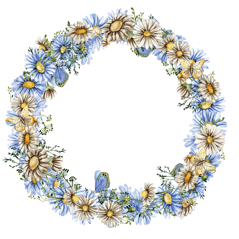 Summer chamomile flowers wreath. png