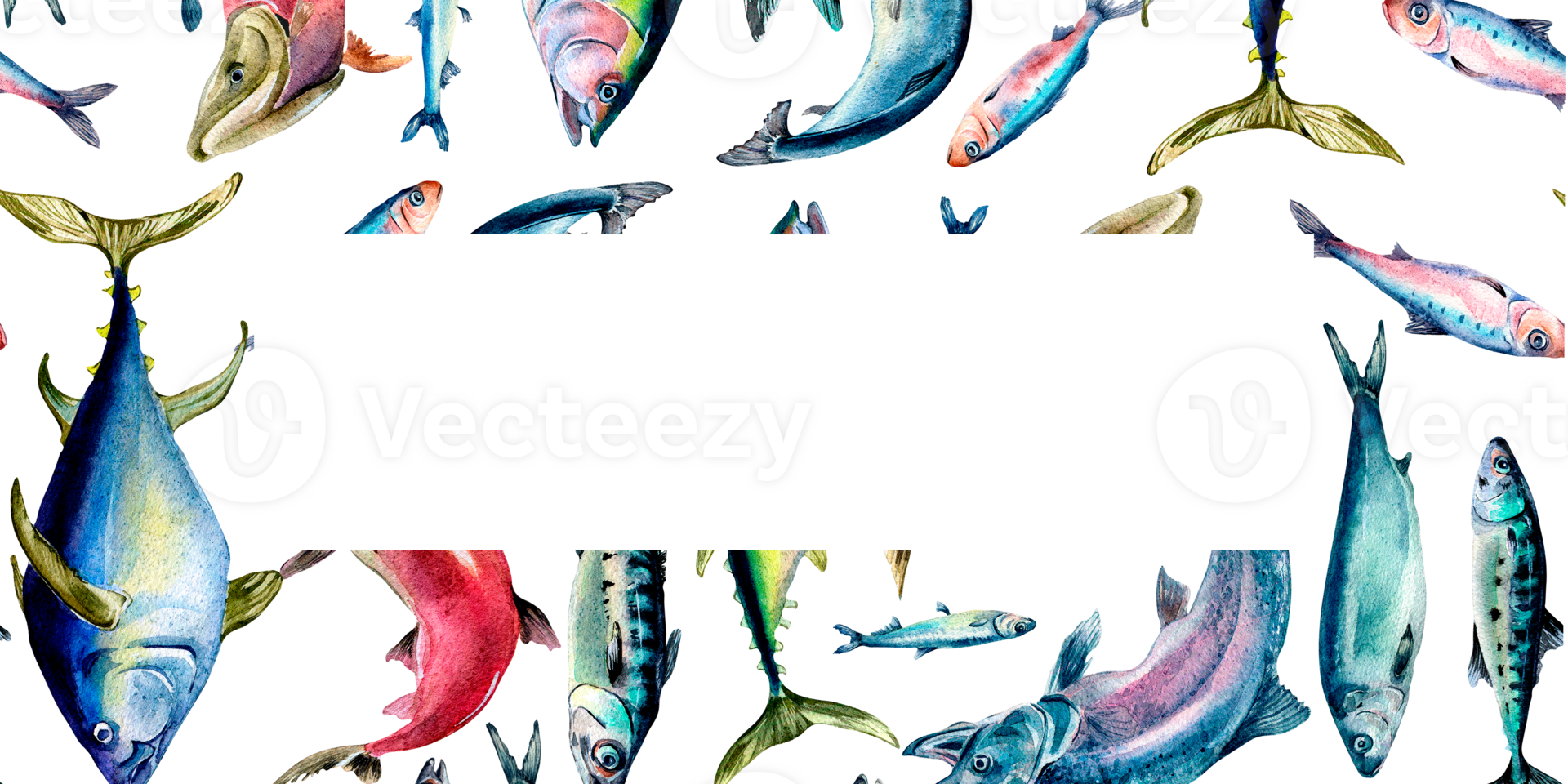 Frame of various fresh sea fish watercolor illustration. Wild fish, tuna, salmon, herring, anchovy hand drawn. Design element for cookbook, signboard, menu, market, packaging. png