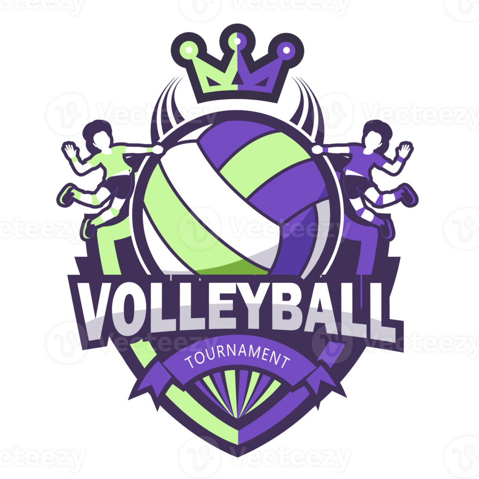 Modern Volleyball symbol.It's for champion concept 24786152 PNG